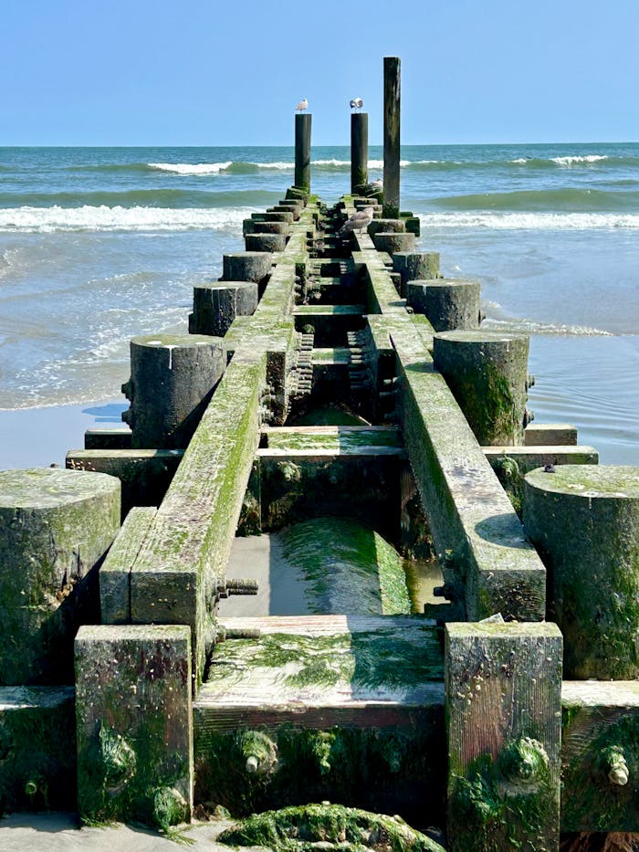 Services-03 A scenic view of an algae-covered wooden pier stretching into the ocean in Atlantic City, NJ.